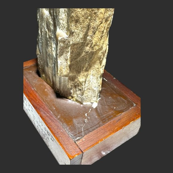 PETRIFIED WOOD NORTH DAKOTA BADLANDS ON VINTAGE HANDMADE STAND - Picture 10 of 12